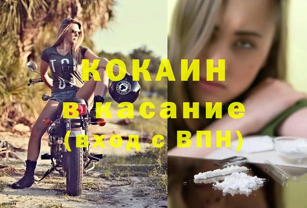 спиды Богданович