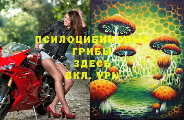спиды Богданович