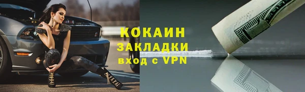 спиды Богданович