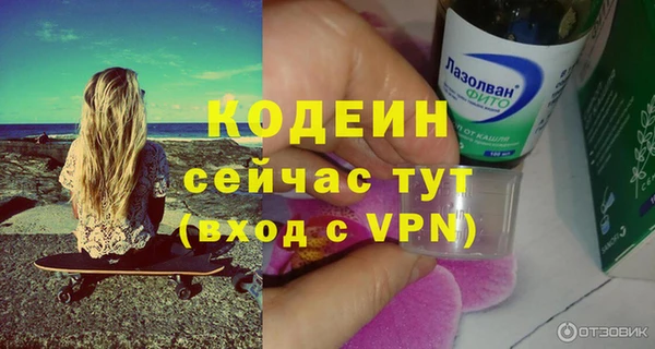 спиды Богданович